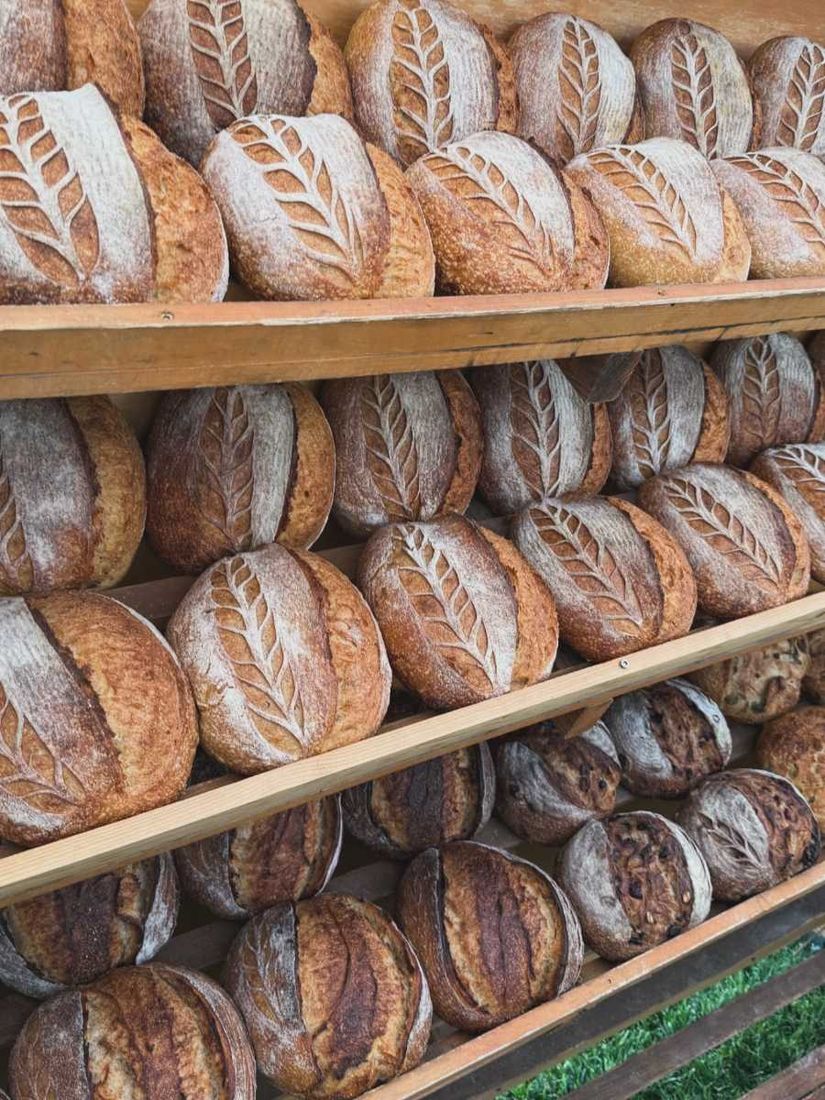 Racks of scored sourdough loaves