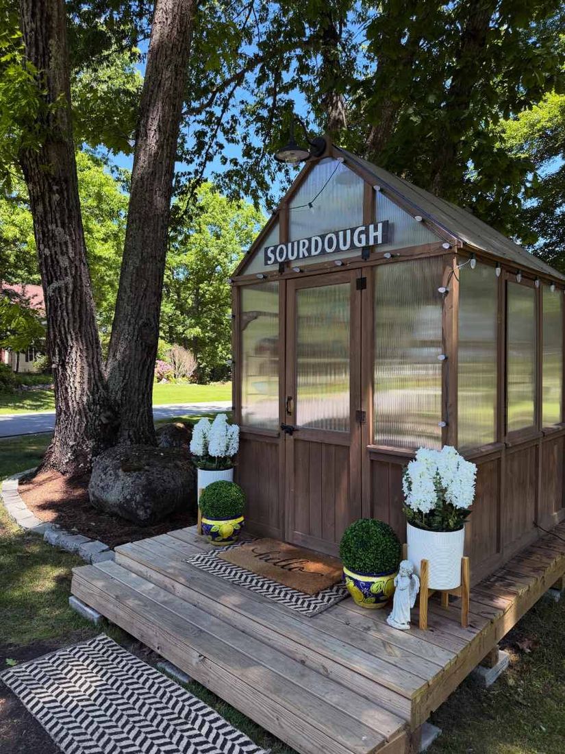 The sourdough shed among the trees